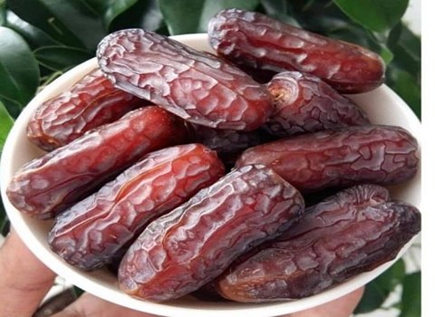 قیمت خرید خرمای پیارم سطلی + فروش ویژه